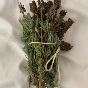 dried herbs